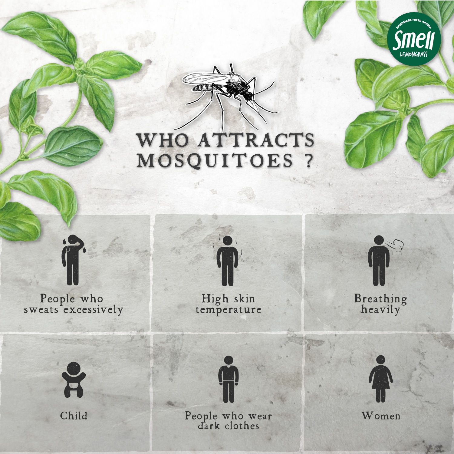 Why Mosquitoes Bite Some People More Than Others Smelllemongrass Smelllemongrass 9771